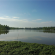 江家洲村 江家洲村