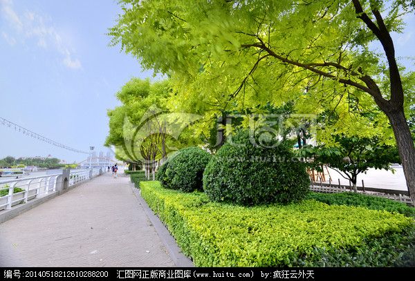 城市植被 城市植被