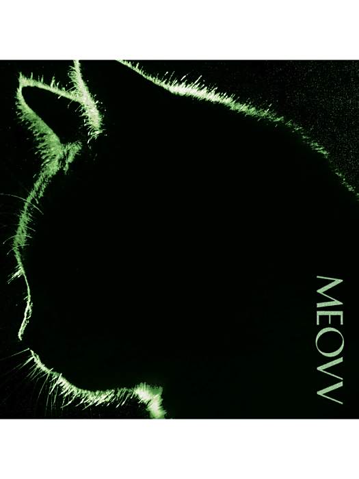 TOXIC(2024年MEOVV演唱的歌曲) TOXIC(2024年MEOVV演唱的歌曲)