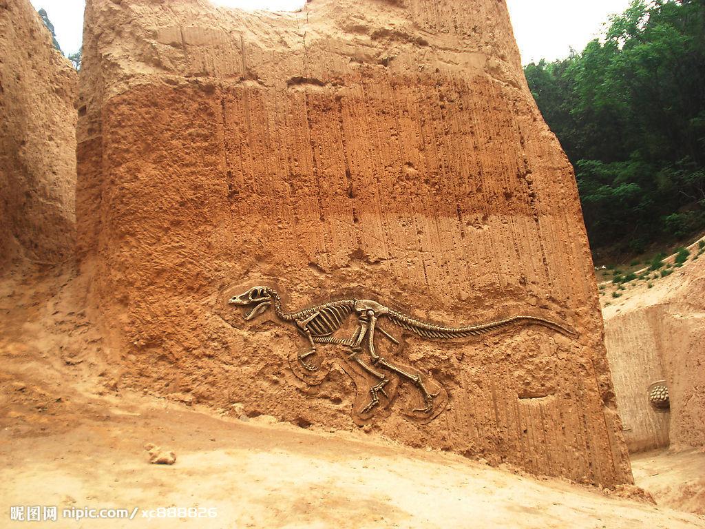 西河橋古生物化石遺址