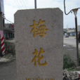 梅花村(廣東省汕頭市潮陽區金浦梅花鄉村)