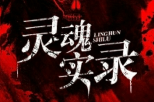 靈魂實錄 靈魂實錄