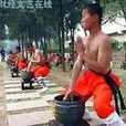 金砂掌 金砂掌