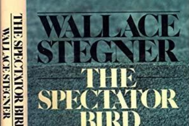 The Spectator Bird The Spectator Bird
