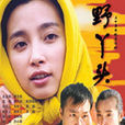 野丫頭(張秉堅導演電視劇) 野丫頭(張秉堅導演電視劇)