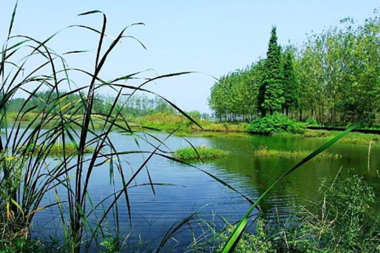 松梅湖 松梅湖