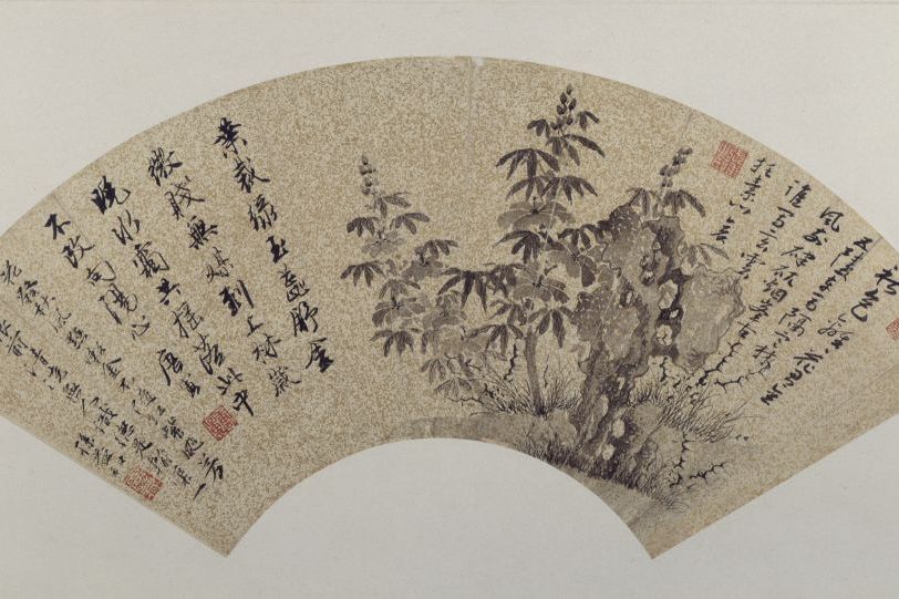秋葵圖(唐寅創作金箋墨筆畫) 秋葵圖(唐寅創作金箋墨筆畫)