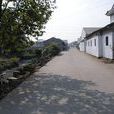 龍豐村(浙江省餘姚市丈亭鎮龍豐村)