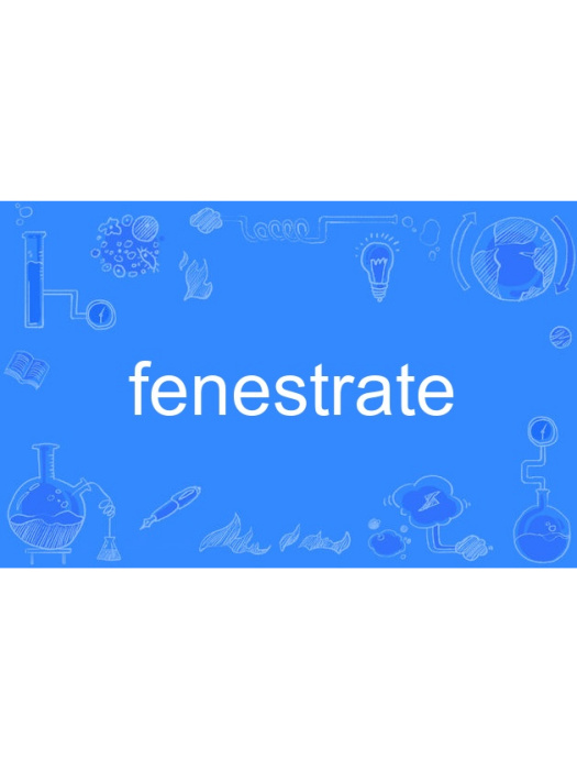 fenestrate fenestrate