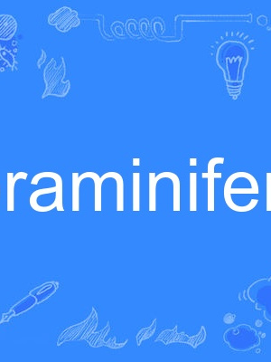 foraminiferal foraminiferal