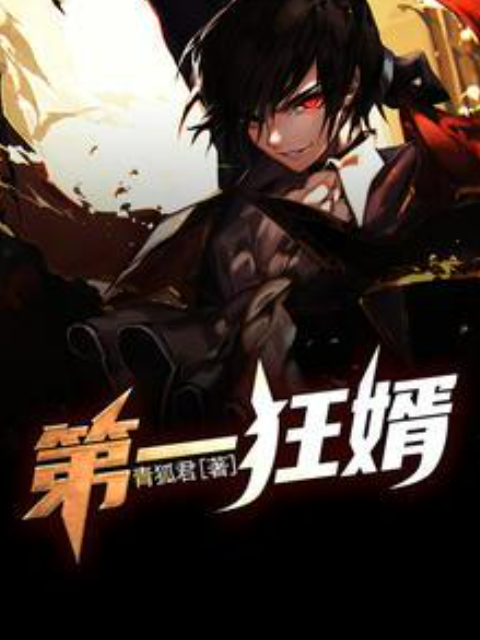 第一狂婿(青狐君所著小說) 第一狂婿(青狐君所著小說)