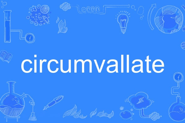 circumvallate circumvallate
