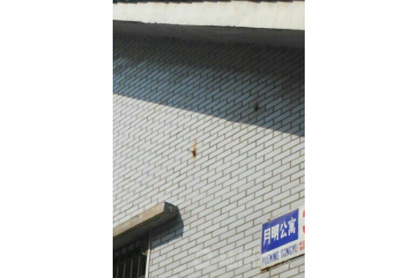 月明公寓 月明公寓