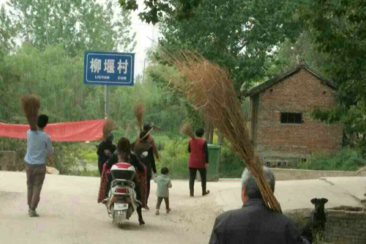 柳堰村 柳堰村