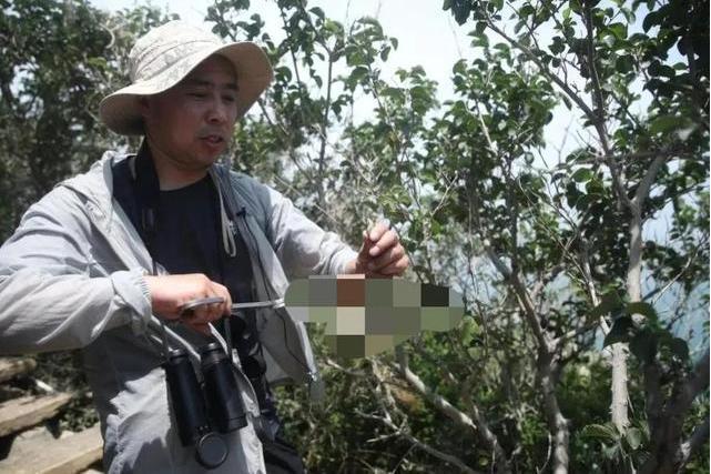 孫立新(原遼寧蛇島老鐵山國家自然保護區管理局副局長) 孫立新(原遼寧蛇島老鐵山國家自然保護區管理局副局長)