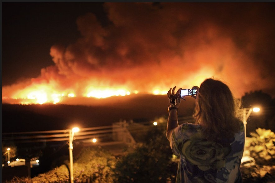 以色列12·2山林大火