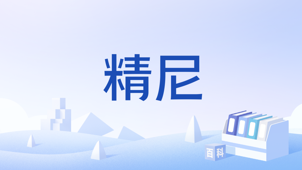 精尼 精尼