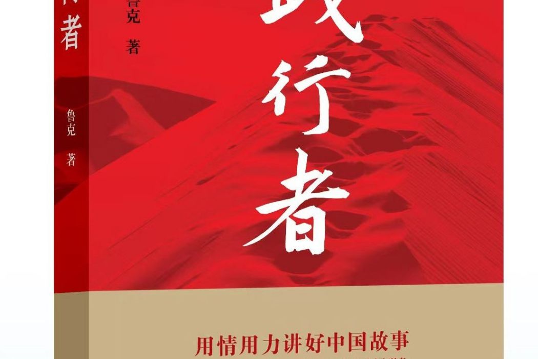 踐行者(2021年武漢大學出版社出版的圖書) 踐行者(2021年武漢大學出版社出版的圖書)