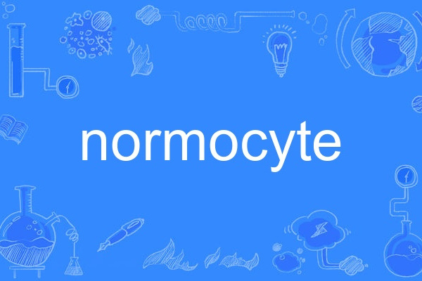 normocyte normocyte