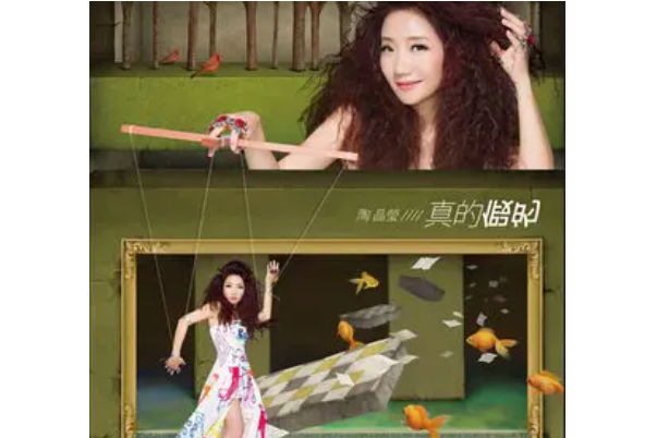 假的假的 假的假的