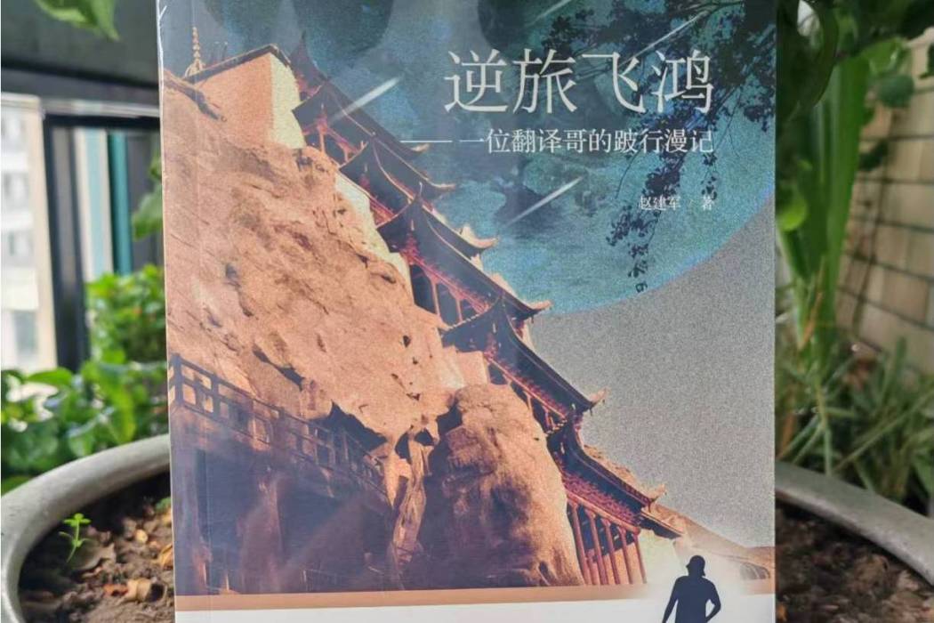 逆旅飛鴻