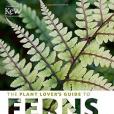 The Plant Lover\x27s Guide to Ferns The Plant Lover\x27s Guide to Ferns