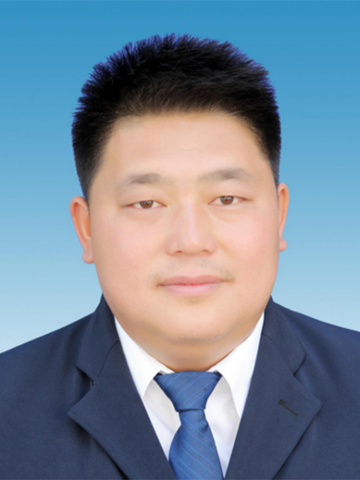 楊根(雲南省保山市騰衝市團田鄉黨委書記)