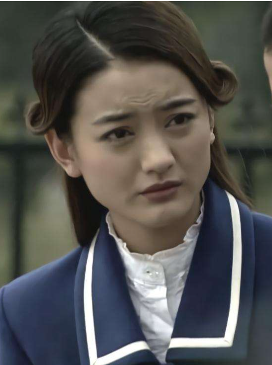 雪豹(2010年文章主演的電視劇)
