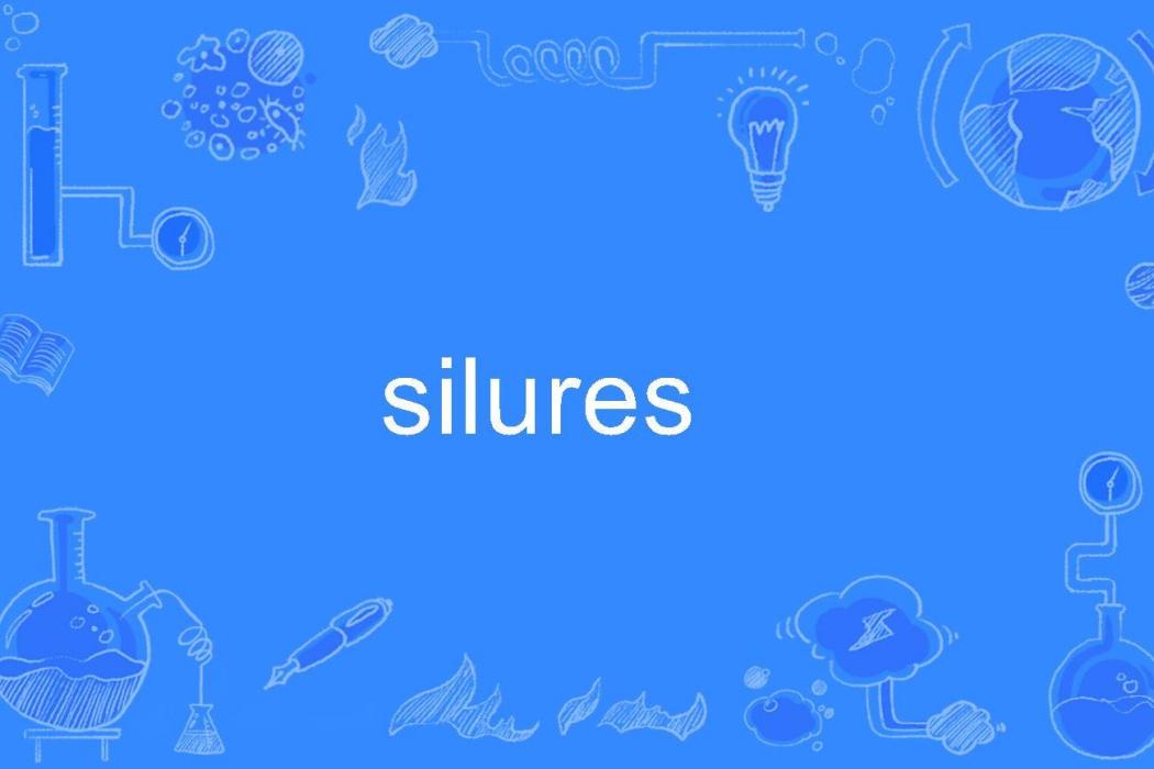 silures silures