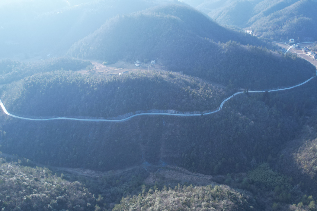 青岩沖村 青岩沖村