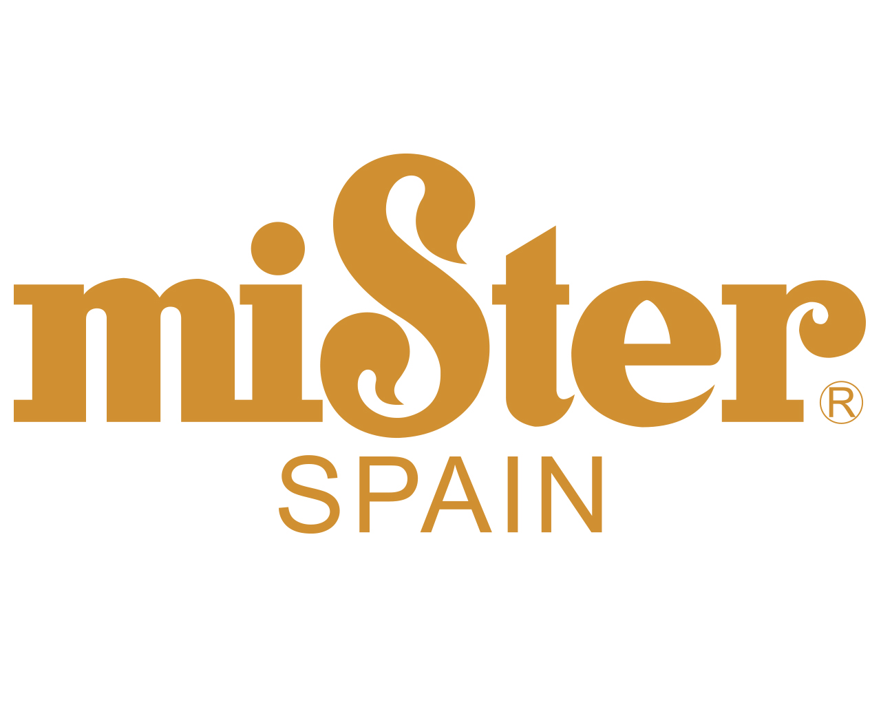 mister(西班牙皮具品牌)