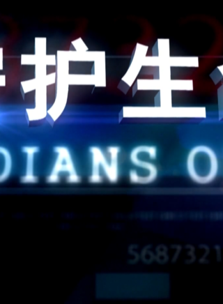 梅寶萊