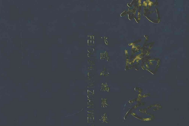 飛鷗志(1979.9-2009.8) 飛鷗志(1979.9-2009.8)
