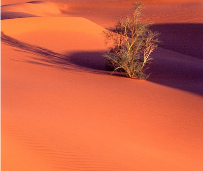 烏蘭布和沙漠