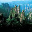天子山景區(天子山景區) 天子山景區(天子山景區)