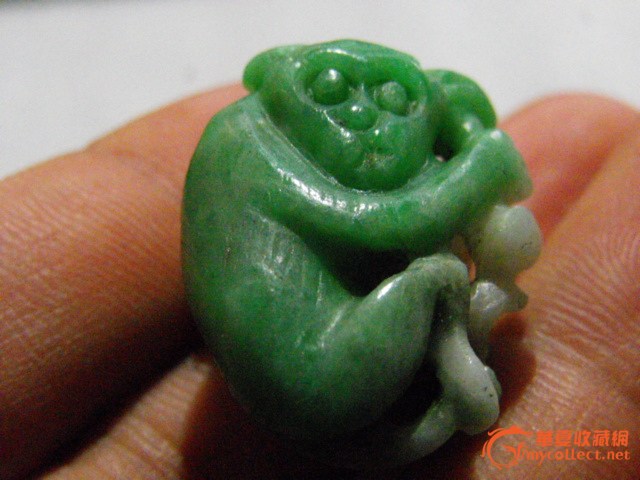 綠猴子