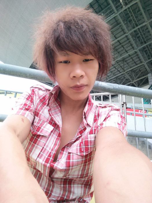 草原之狼 草原之狼