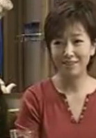 離婚進行時(2006年江珊、丁志誠主演電視劇)