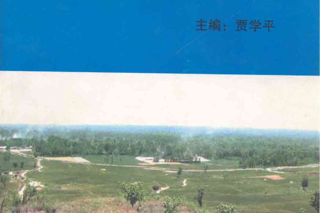 薛村村志 薛村村志
