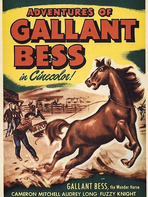 貝絲復仇記(Adventures of Gallant Bess)