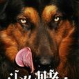 鬥狗賭寶 鬥狗賭寶