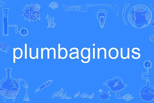 plumbaginous plumbaginous