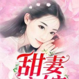甜妻高嫁 甜妻高嫁
