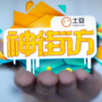 土豆神街訪 土豆神街訪