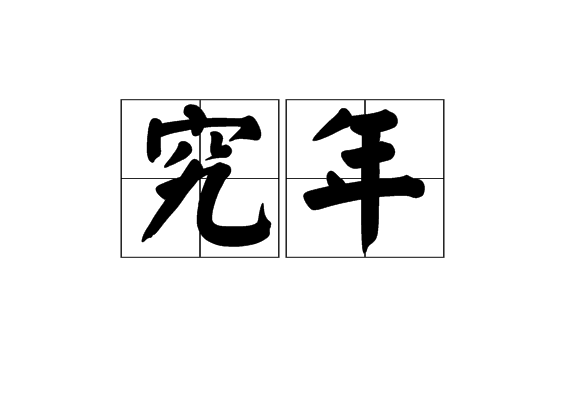 究年 究年