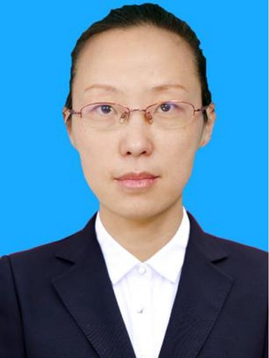 王磊(寧夏回族自治區銀川市西夏區鎮北堡鎮財經服務中心主任)