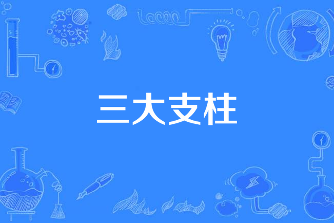 三大支柱 三大支柱