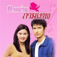 丘比特之路(2001年泰國電視劇)