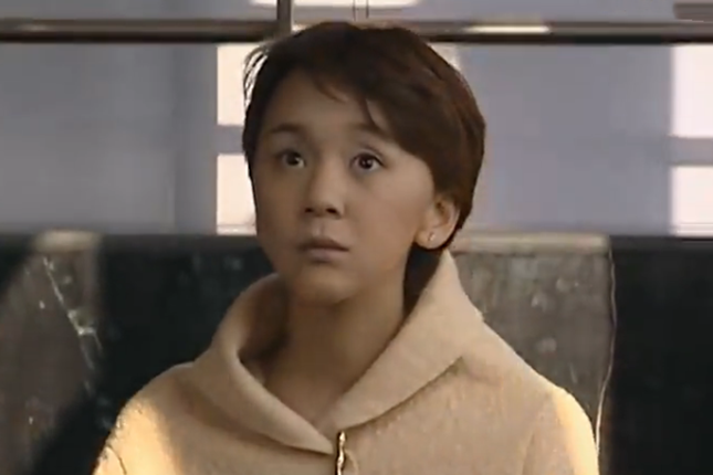 成琳(《親情樹》中田風的妻子) 成琳(《親情樹》中田風的妻子)