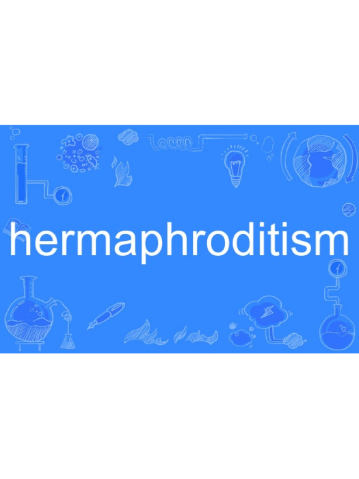 hermaphroditism hermaphroditism